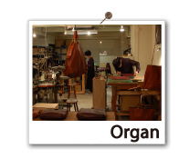 Organ[�I���K��]�ɂ���