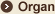 Organ
