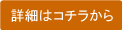 �ڍׂ̓R�`��